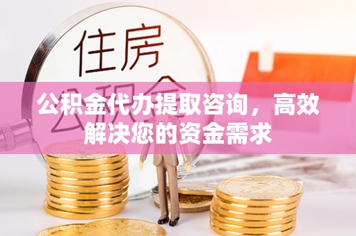 元阳公积金代办提取咨询，高效解决您的资金需求