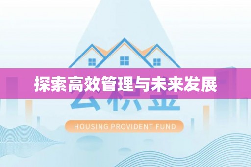 元阳探索高效管理与未来发展