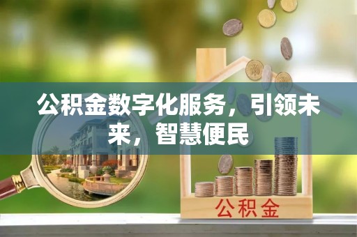 元阳公积金数字化服务，引领未来，智慧便民