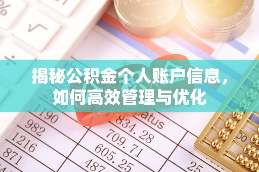 元阳揭秘公积金个人账户信息，如何高效管理与优化