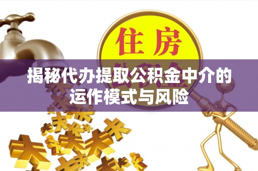 元阳揭秘代办提取公积金中介的运作模式与风险