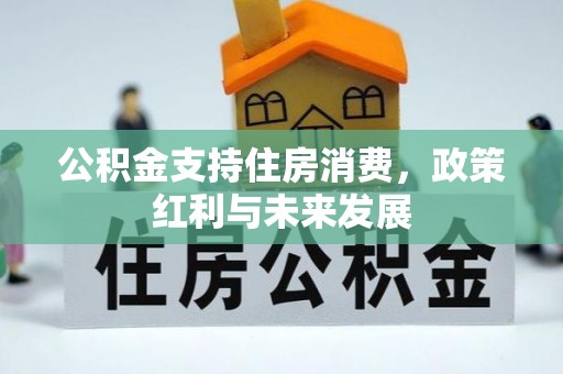 元阳公积金支持住房消费，政策红利与未来发展