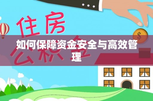 元阳如何保障资金安全与高效管理