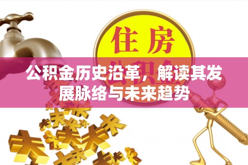 元阳公积金历史沿革，解读其发展脉络与未来趋势