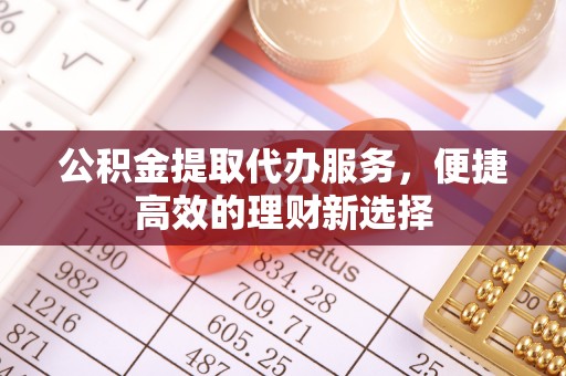 元阳公积金提取代办服务，便捷高效的理财新选择