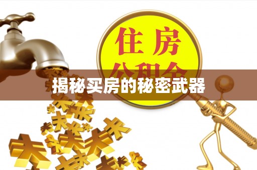 元阳揭秘买房的秘密武器