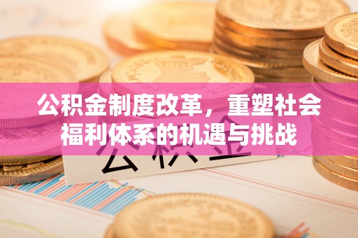 元阳公积金制度改革，重塑社会福利体系的机遇与挑战