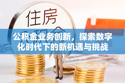 元阳公积金业务创新，探索数字化时代下的新机遇与挑战