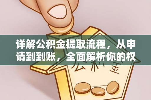 元阳详解公积金提取流程，从申请到到账，全面解析你的权益与操作步骤