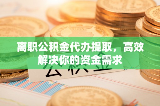 元阳离职公积金代办提取，高效解决你的资金需求