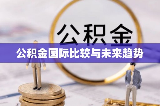 元阳公积金国际比较与未来趋势