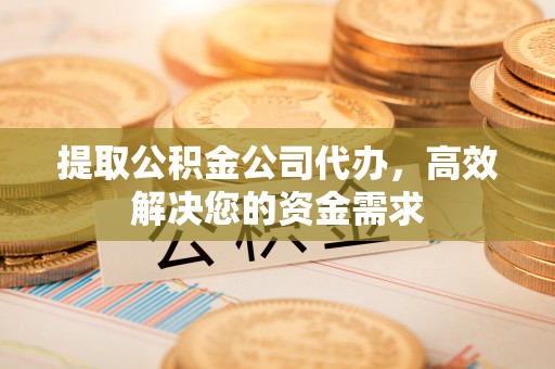 元阳提取公积金公司代办，高效解决您的资金需求