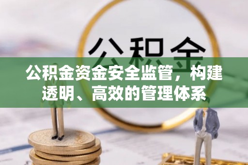 元阳公积金资金安全监管，构建透明、高效的管理体系