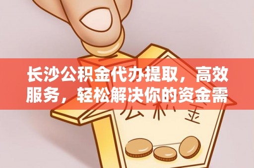 元阳长沙公积金代办提取，高效服务，轻松解决你的资金需求