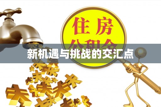 元阳新机遇与挑战的交汇点