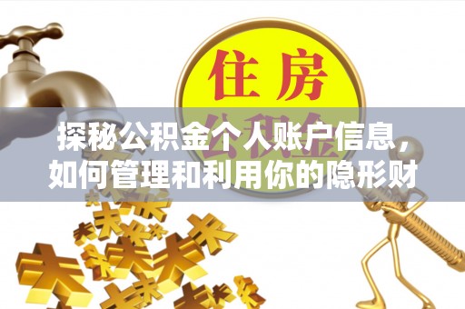 元阳探秘公积金个人账户信息，如何管理和利用你的隐形财富
