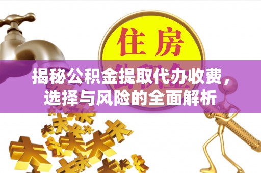 元阳揭秘公积金提取代办收费，选择与风险的全面解析
