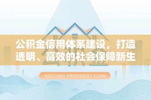 元阳公积金信用体系建设，打造透明、高效的社会保障新生态