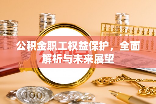 元阳公积金职工权益保护，全面解析与未来展望