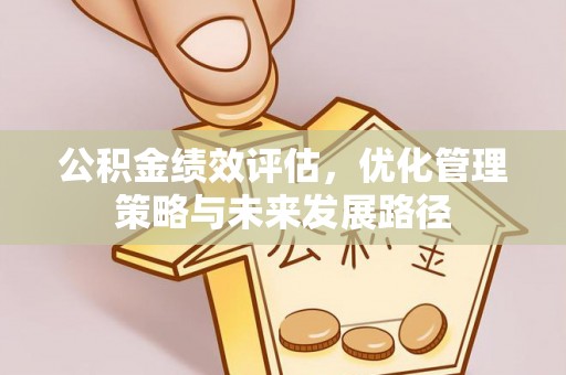 元阳公积金绩效评估，优化管理策略与未来发展路径