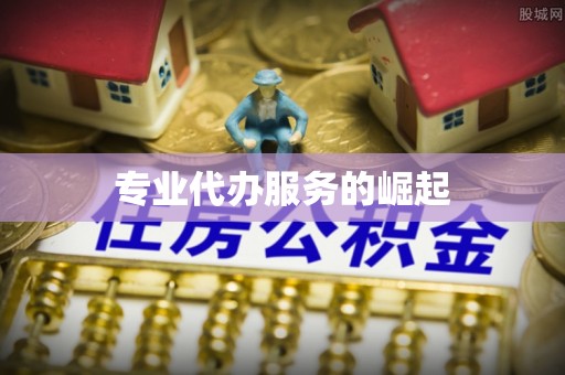 元阳专业代办服务的崛起