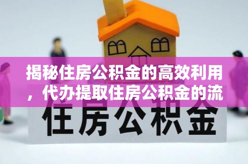 元阳揭秘住房公积金的高效利用，代办提取住房公积金的流程与技巧