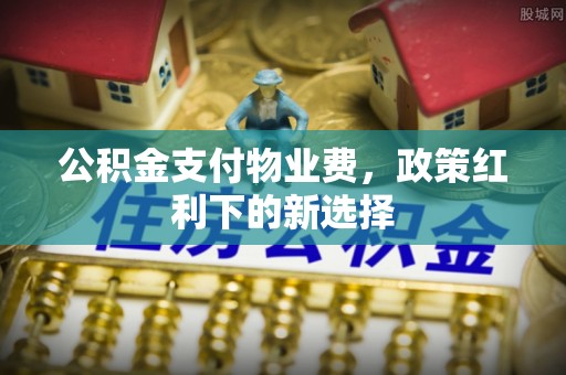 元阳公积金支付物业费，政策红利下的新选择