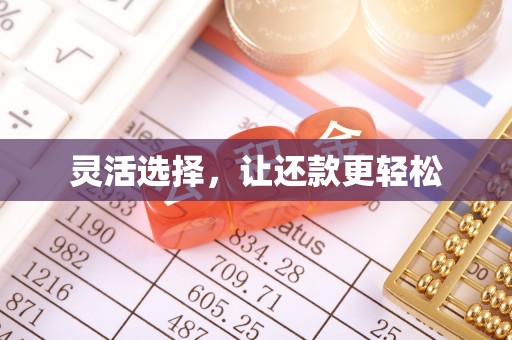 元阳灵活选择，让还款更轻松