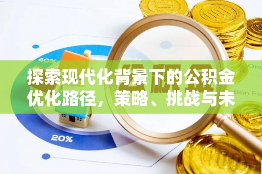 元阳探索现代化背景下的公积金优化路径，策略、挑战与未来展望