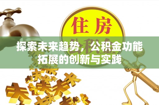 元阳探索未来趋势，公积金功能拓展的创新与实践