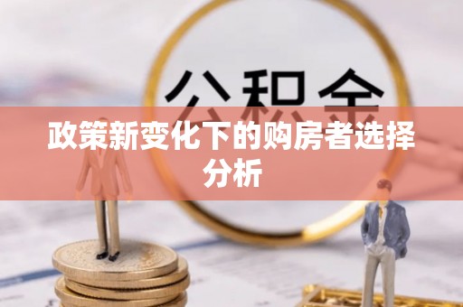 元阳政策新变化下的购房者选择分析