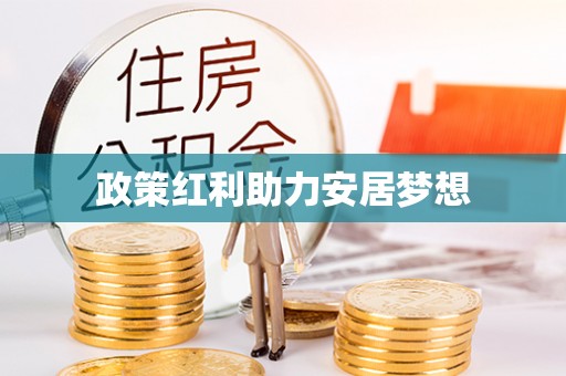 元阳政策红利助力安居梦想