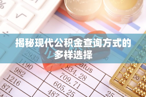 元阳揭秘现代公积金查询方式的多样选择