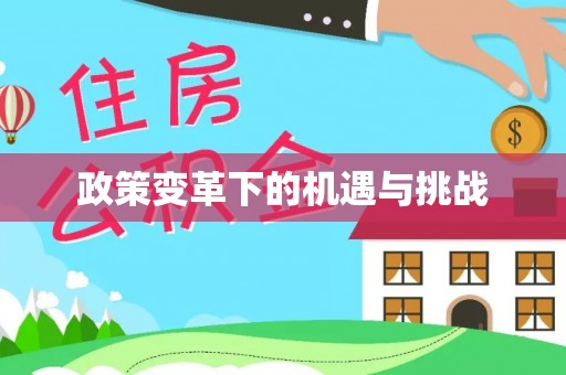 元阳政策变革下的机遇与挑战