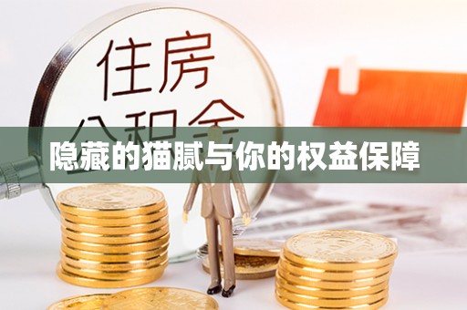 元阳隐藏的猫腻与你的权益保障