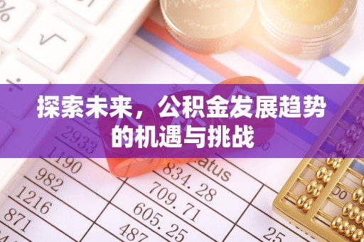 元阳探索未来，公积金发展趋势的机遇与挑战
