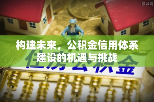 元阳构建未来，公积金信用体系建设的机遇与挑战