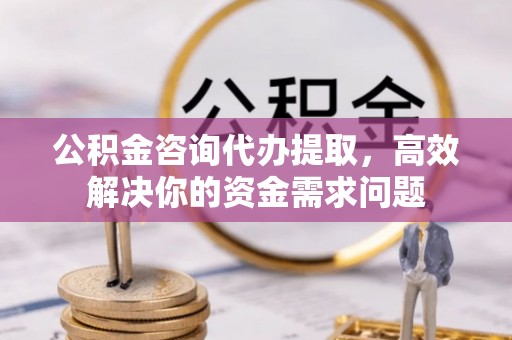 元阳公积金咨询代办提取，高效解决你的资金需求问题
