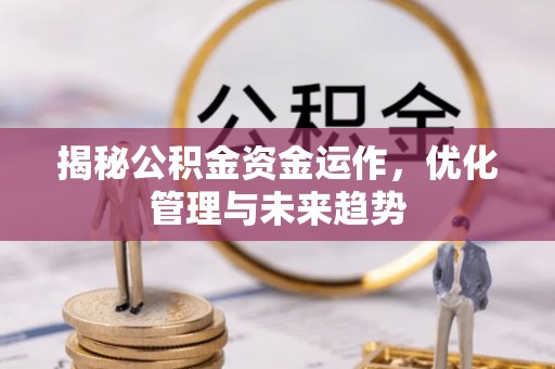 元阳揭秘公积金资金运作，优化管理与未来趋势