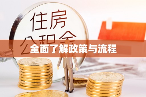 元阳全面了解政策与流程