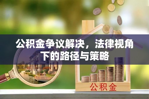 元阳公积金争议解决，法律视角下的路径与策略