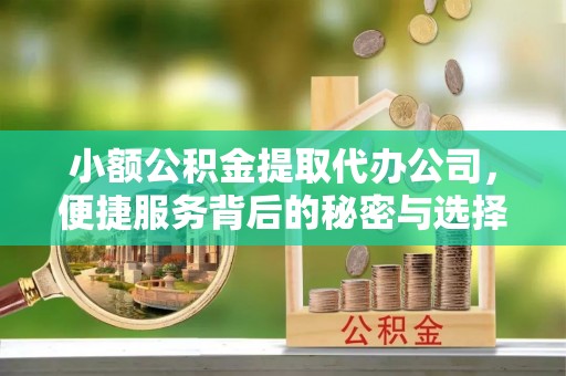 元阳小额公积金提取代办公司，便捷服务背后的秘密与选择指南