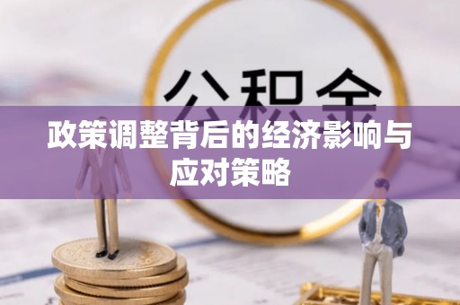 元阳政策调整背后的经济影响与应对策略