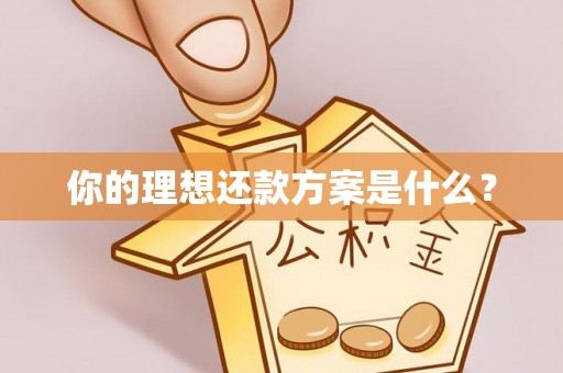 元阳你的理想还款方案是什么？