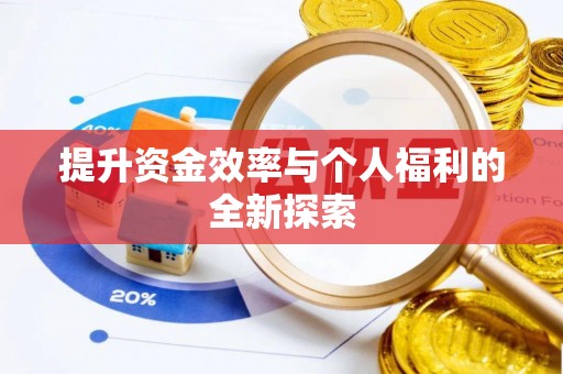 元阳提升资金效率与个人福利的全新探索