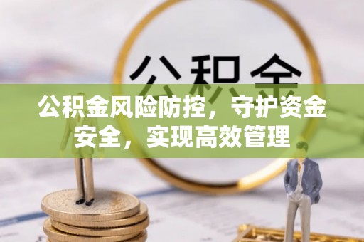 元阳公积金风险防控，守护资金安全，实现高效管理