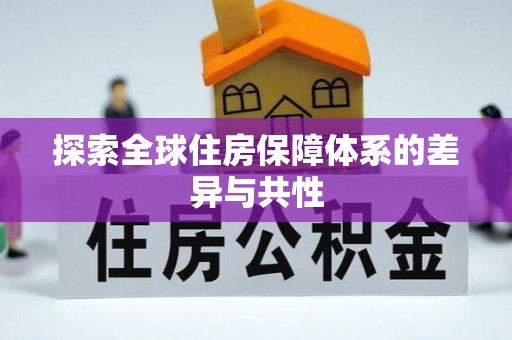 元阳探索全球住房保障体系的差异与共性