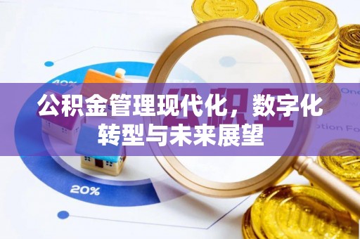 元阳公积金管理现代化，数字化转型与未来展望