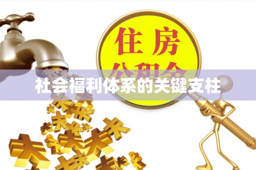 元阳社会福利体系的关键支柱