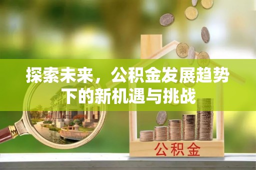 元阳探索未来，公积金发展趋势下的新机遇与挑战